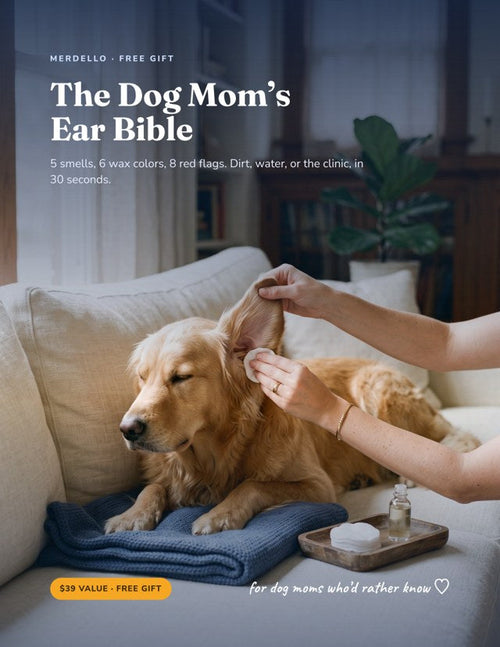 The Dog Mom's Ear Bible, free digital gift