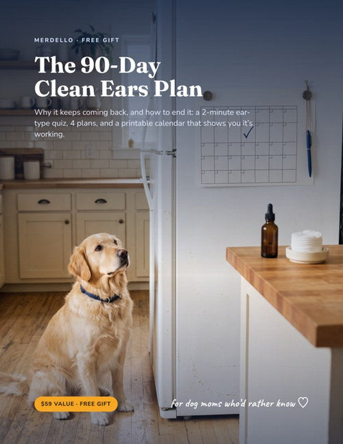 The 90-Day Clean Ears Plan, free digital gift