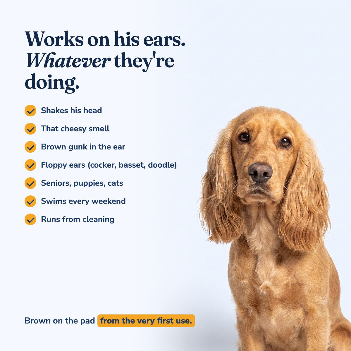 Works on his ears, whatever they're doing: head shaking, cheesy smell, brown gunk, floppy ears, seniors, puppies and cats, swimmers, dogs that run from cleaning. Brown on the pad from the very first use.
